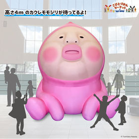 こびとづかん 10体セット こびとづかん 10体セット こびとづかん公式WEBショップ《こびと