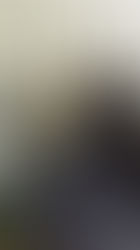 2015年9月6日猫の譲渡会 参加猫の写真