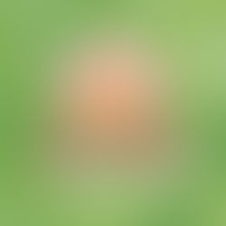 【愛知県】名古屋PARCOにて、特別イベント「こびとづかんEXPO」を開催!