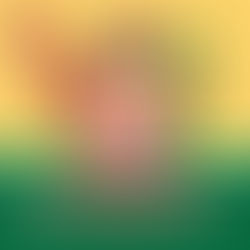 【東京都】祝!20周年こびとづかん POPUP-SHOP こびと百貨店 in 東京キャラクターストリート開催!