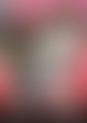 2015年10月31日(土)~11月1日(日) 猫の譲渡会 IN 日獣祭