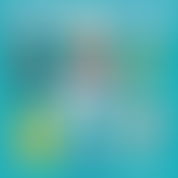 【再販】カプセルトイ「こびとづかん のぬいぐるみ2」2026年5月再販決定！