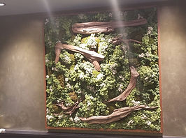 流木モスアート