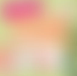 【つるぎ】2026年分も「こびとづかんの町つるぎ」限定デザイン年賀状を発売!