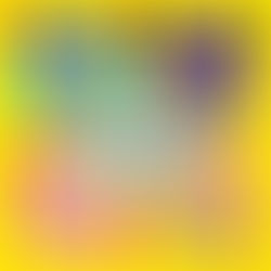【京都府/愛知県】イベント体験型POP UP「こびとづかん ミニマルシェ」全国へ順次巡回を開始！