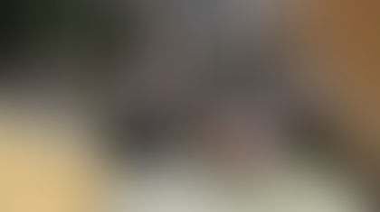 3月16日譲渡会報告およびお願い