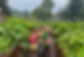 IMG_8223.jpeg