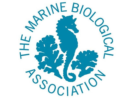 MBA logo blue.jpg