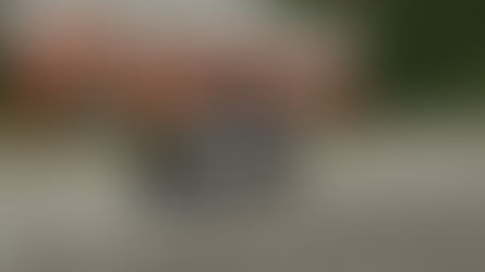 Lizard Loader 863 With Shovel