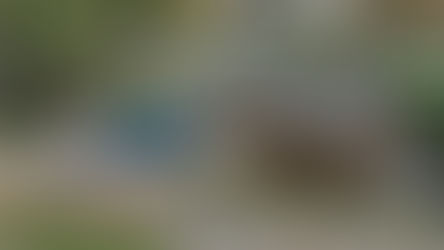 Edited Nefaz Semi Tipper