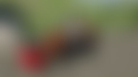 Liebheer L-538 Forestry