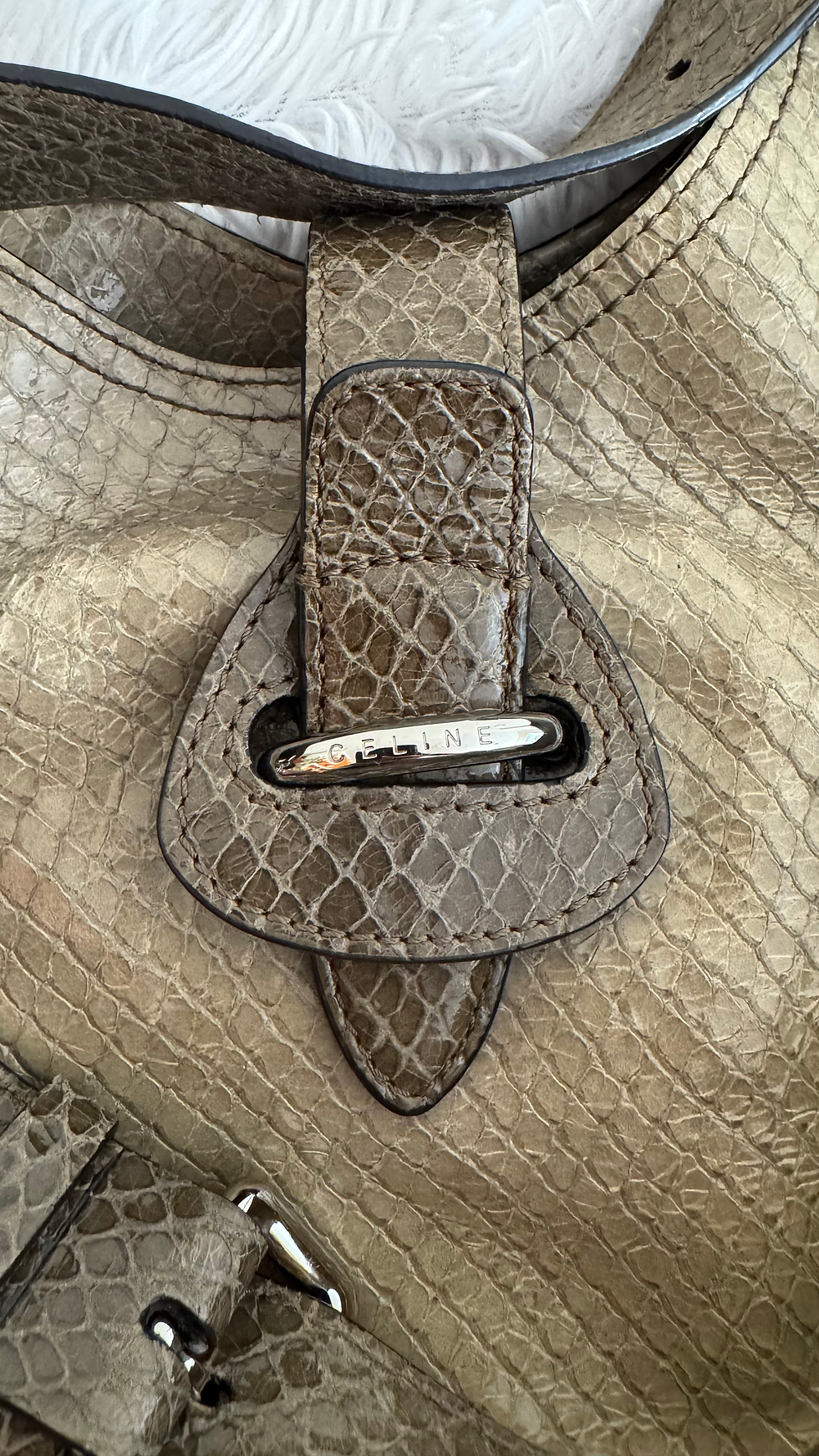 Thumbnail: Celine  Python Printed Leather Tote Bag
