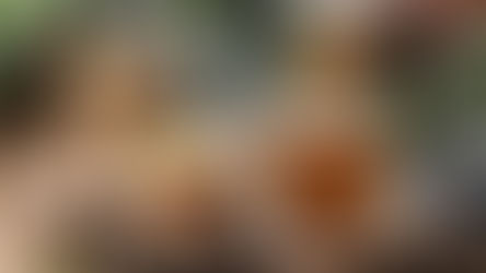 2025 Business Trends: Why Tea Franchises Are Leading F&B Growth