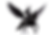 Valkyrie 2_edited.png