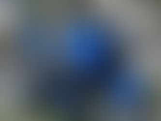 RIDER: @biker_moutains