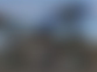 GSX-S950/1000 - GP REPLICA