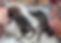 rhett_otto_5_edited.jpg