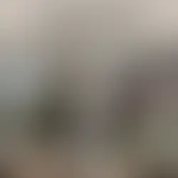 55-Inch or 65-Inch TV