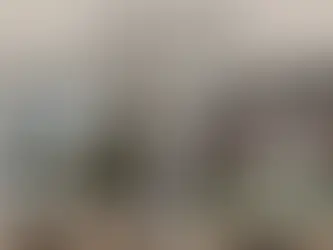 55-Inch or 65-Inch TV