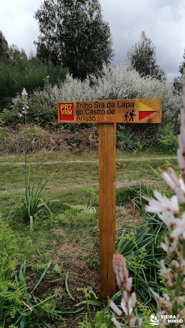 Placa de sinalização em madeira tratada