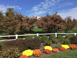Four Seasons at Chester