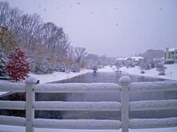 Four Seasons at Chester