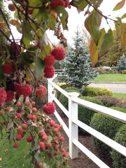 Four Seasons at Chester