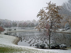 Four Seasons at Chester