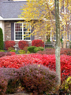 Four Seasons at Chester