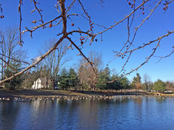 Four Seasons at Chester