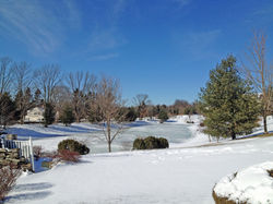 Four Seasons at Chester