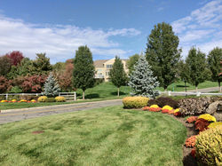 Four Seasons at Chester