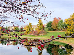 Four Seasons at Chester