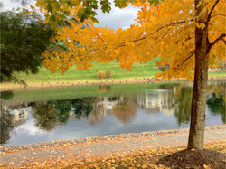Four Seasons at Chester