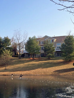 Four Seasons at Chester
