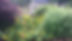20160628_104651.jpg
