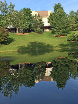 Four Seasons at Chester