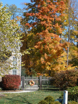 Four Seasons at Chester