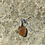 Miniature : Breloque Plume de Paon