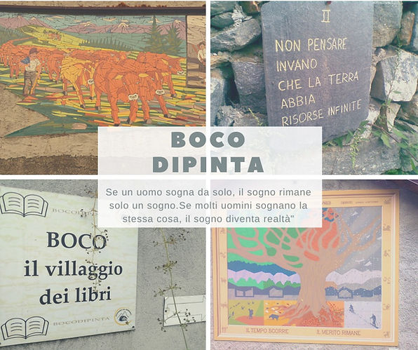 boco estate 2020.jpg