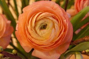 DSC09624.jpeg