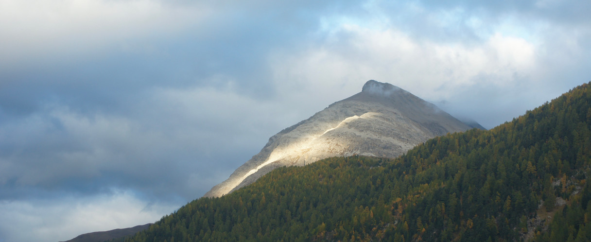 Licht & Herzkraft