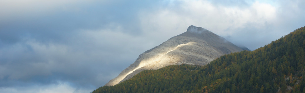 Licht & Herzkraft