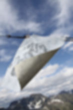 Gamskogl summer 2021