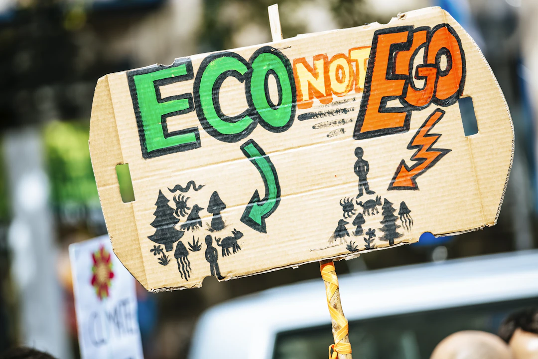 E-commerce Compliance and the Environment: Sustainable Practices