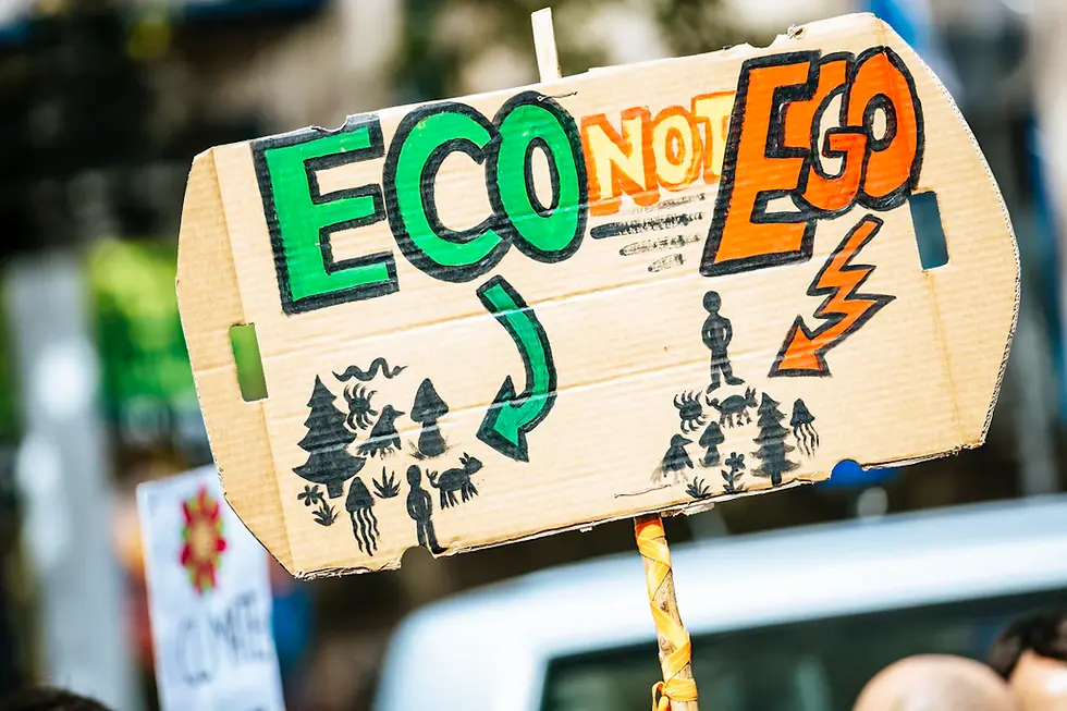 E-commerce Compliance and the Environment: Sustainable Practices