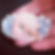 Kiwi Sticker