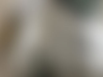 エクシーガのお手直し