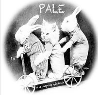 pale a la surprise generale.jpg