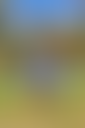 BĚH O POHÁR STOLETÍ